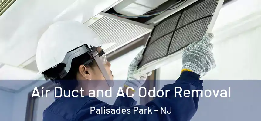  Air Duct and AC Odor Removal Palisades Park - NJ