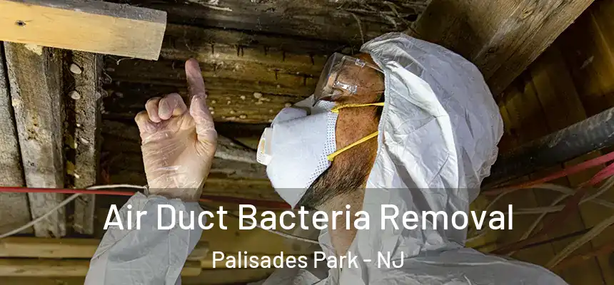  Air Duct Bacteria Removal Palisades Park - NJ