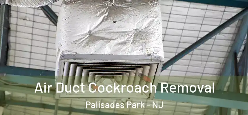  Air Duct Cockroach Removal Palisades Park - NJ