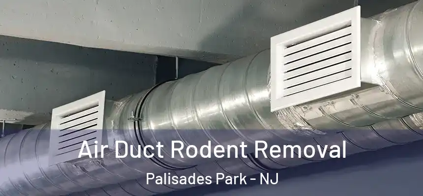Air Duct Rodent Removal Palisades Park - NJ