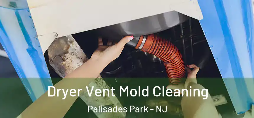  Dryer Vent Mold Cleaning Palisades Park - NJ
