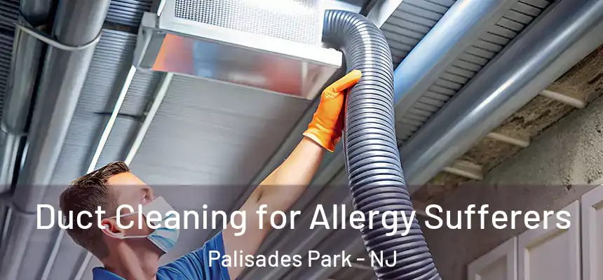 Duct Cleaning for Allergy Sufferers Palisades Park - NJ