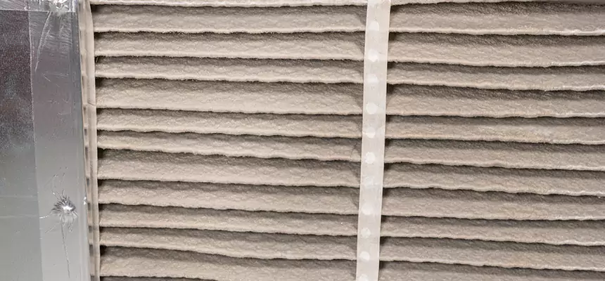 Mobile Car AC Filter Replacement in Palisades Park