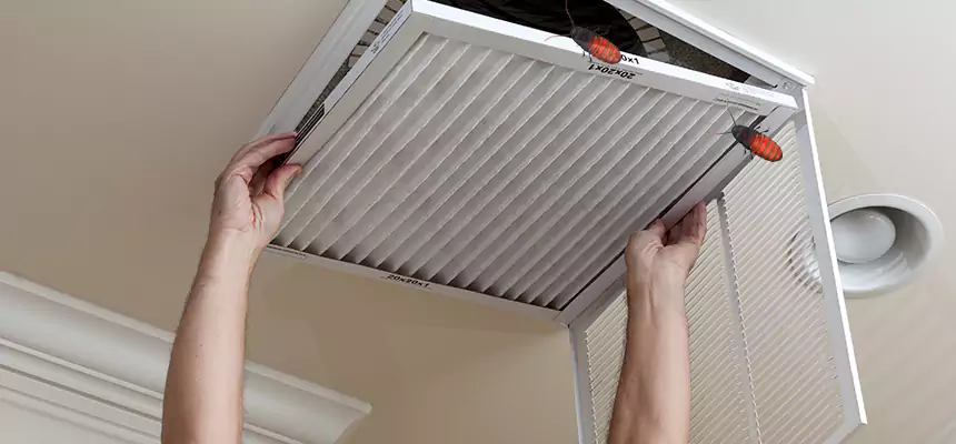 Preventive Cockroach-Proofing for Ducts in Palisades Park