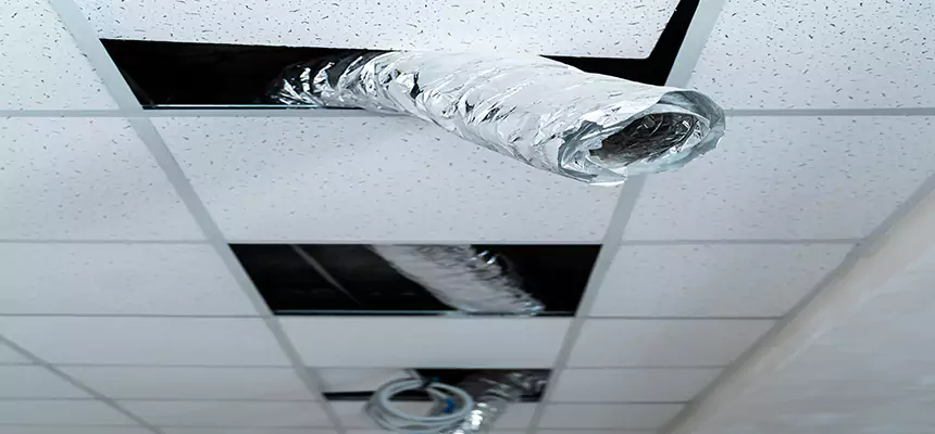 Our Air Duct Pet Hair Removal Services in Palisades Park, NJ