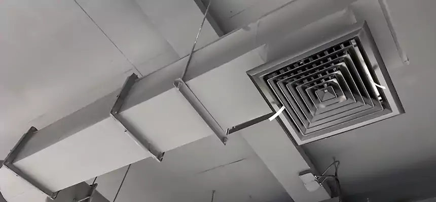 Our Pest Removal From Ducts Services in Palisades Park, NJ