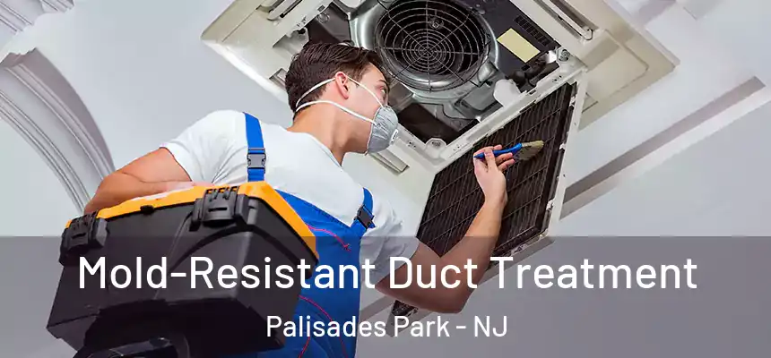  Mold-Resistant Duct Treatment Palisades Park - NJ