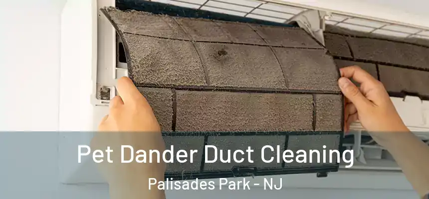  Pet Dander Duct Cleaning Palisades Park - NJ
