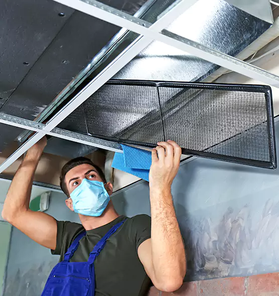 About Air Duct Bacteria Removal in Palisades Park