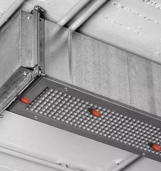 About Air Duct Cockroach Removal in Palisades Park, NJ