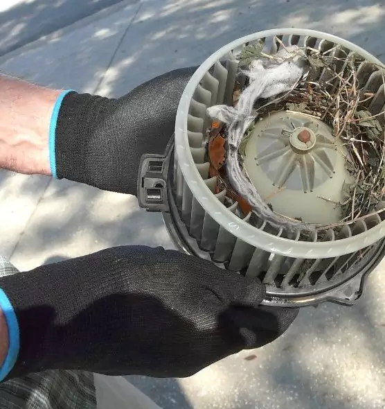 About Air Duct Mice Removal in Palisades Park, NJ