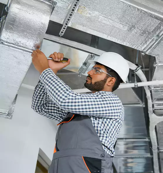 Welcome to Mold & Mildew Removal from Air Ducts Palisades Park, NJ