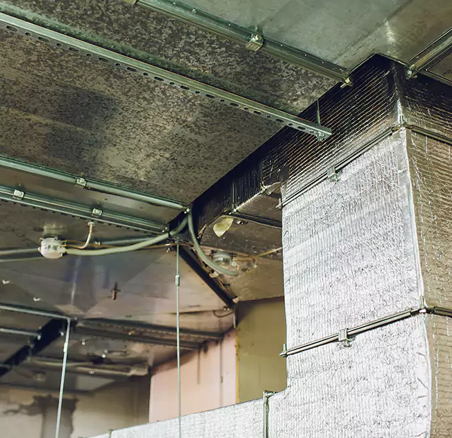 Why Homeowners & Businesses Trust Us in Palisades Park, NJ?